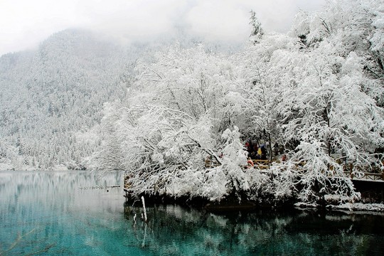 九寨溝 雪景 雪山