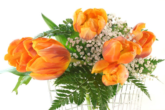 tulpenstrau在籃子里