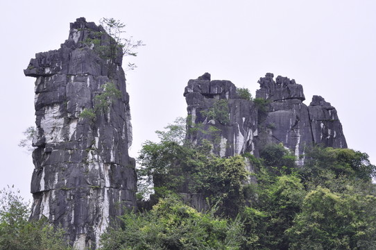 桂林 風(fēng)景 駱駝 駱駝山 山水