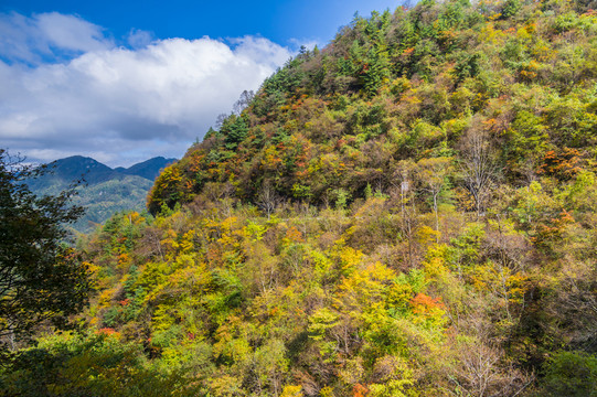 神農(nóng)架天燕風景區(qū)