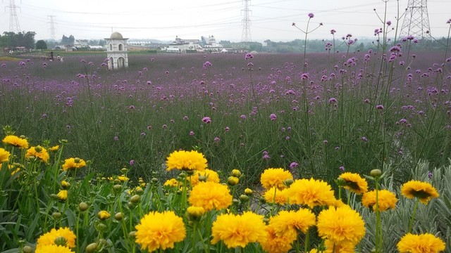 成都香薰山谷