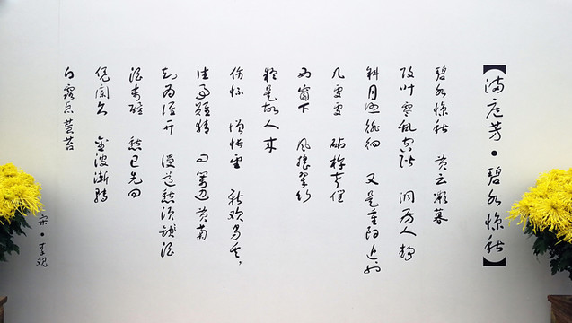 菊展 碧云天
