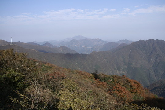 美秋