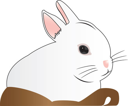 動(dòng)物