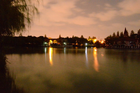公園夜景