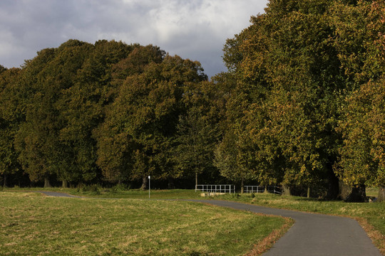 herbstlandschaft32