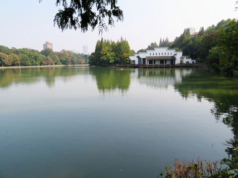 合肥稻香樓公園