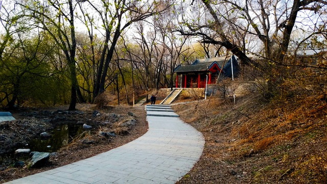 小路 園林景觀