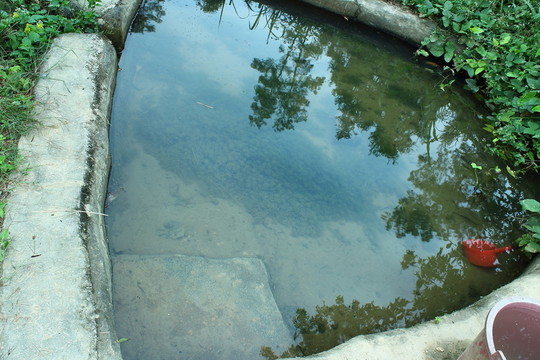山間水 山間飲水池