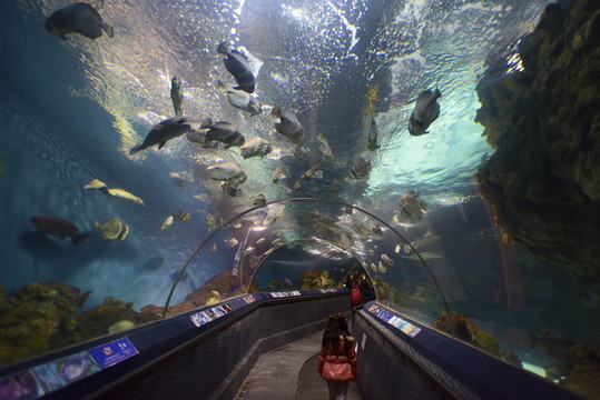 上海海洋水族館內(nèi)景