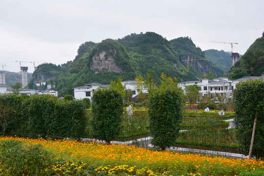 花園