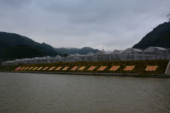 百花渡