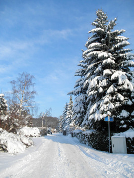 積雪的路上