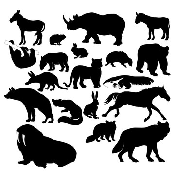 野生動物剪影