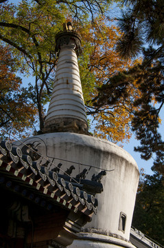 北京潭柘寺 舍利塔