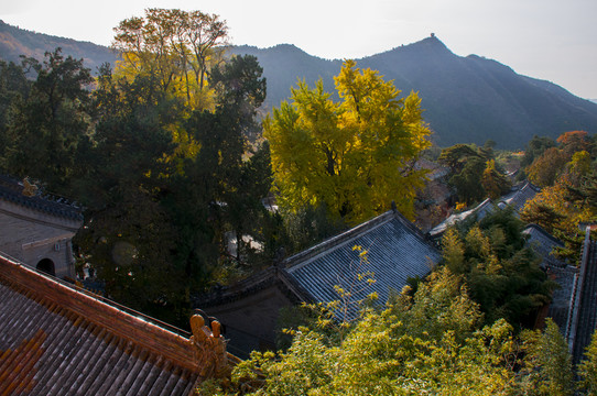 北京潭柘寺