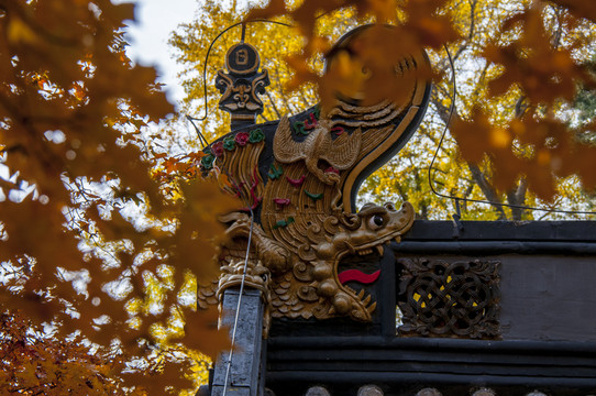 北京潭柘寺
