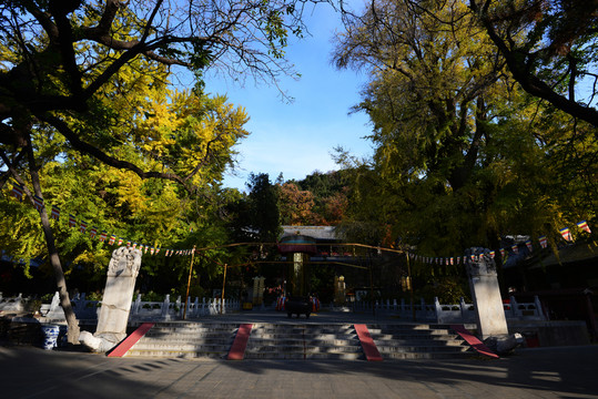 北京潭柘寺
