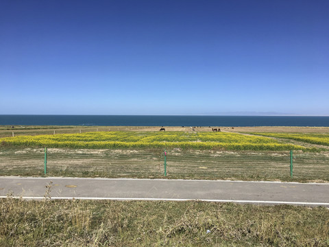 青海湖 高原湖泊