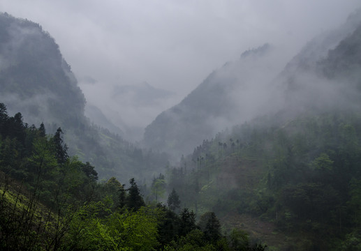 烏蒙山