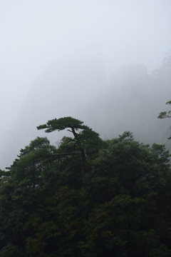 霧中的三清山 水墨山水畫
