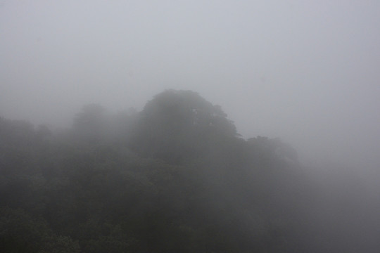 三清山風(fēng)光攝影 霧中的三清山
