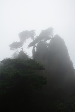 三清山風(fēng)光攝影 霧中的三清山