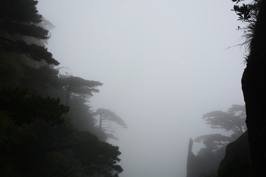 三清山風(fēng)光攝影 霧中的三清山