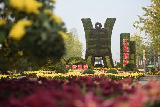 菊花