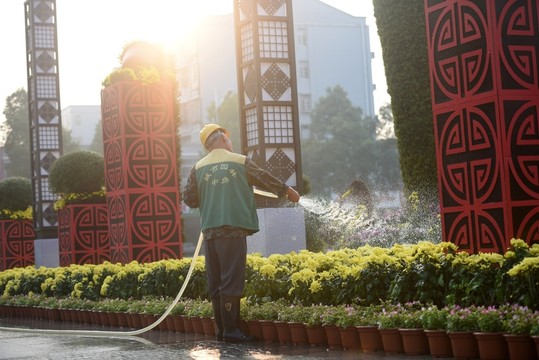澆花 噴水 菊花