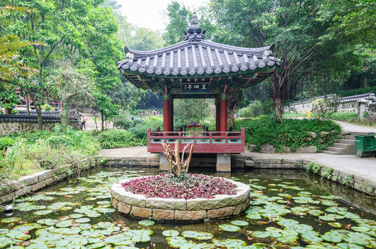 越秀公園景觀(guān)
