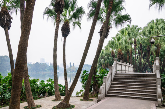 流花湖公園景觀