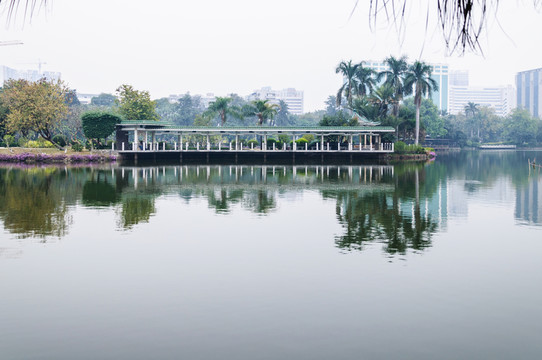 流花湖公園景觀