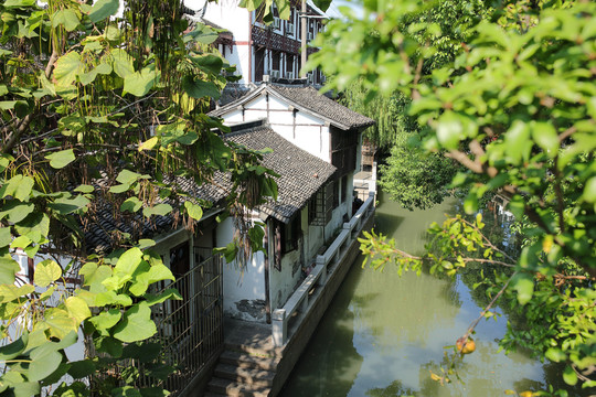 練塘古鎮(zhèn) 練塘 古鎮(zhèn)老街 廊棚