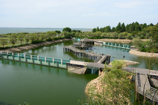 鄱陽湖 鄱陽湖濕地公園