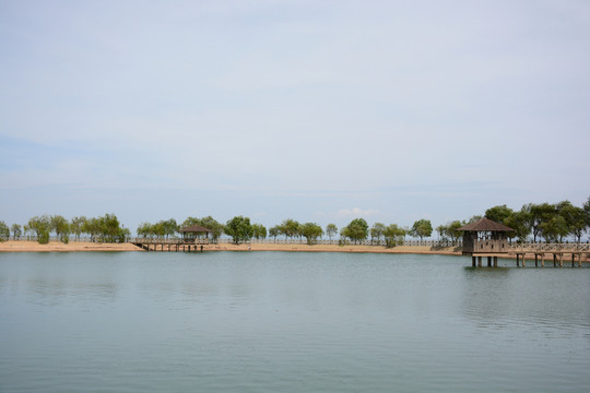 鄱陽(yáng)湖 鄱陽(yáng)湖濕地公園