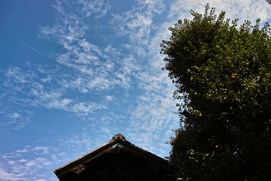 淺草寺