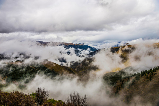 高山云霧