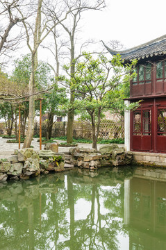 拙政園園景