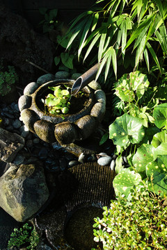 日本箱根