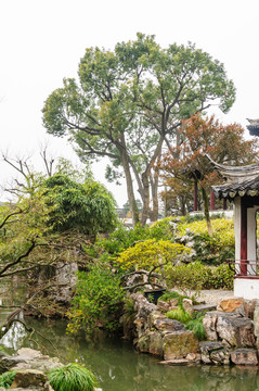 拙政園園景