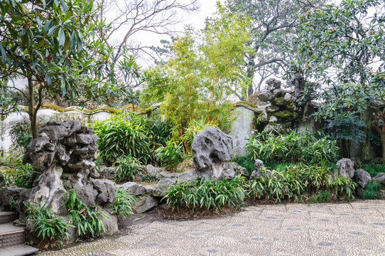 拙政園園景