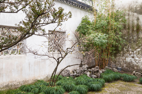 拙政園園景