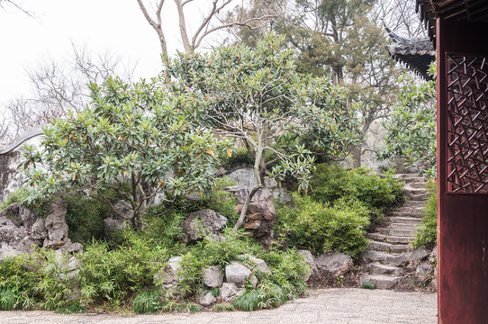 拙政園園景