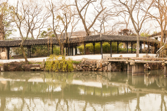 拙政園園景