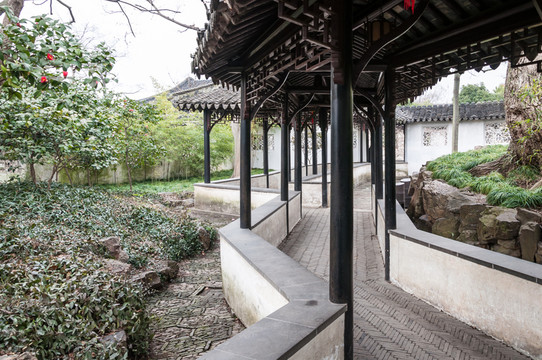 拙政園園景