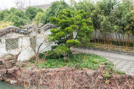 拙政園園景