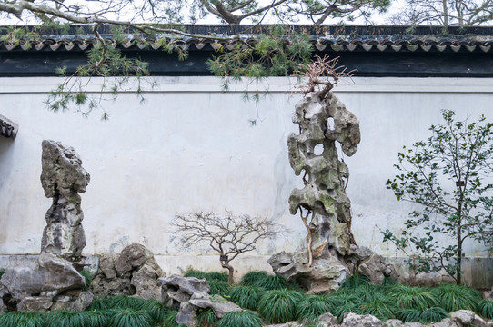 拙政園園景