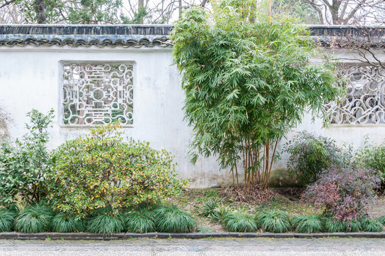 拙政園園景