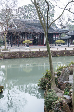 拙政園園景